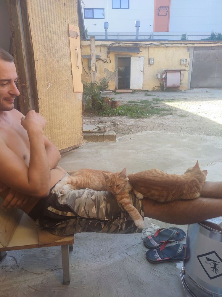 ���� 33475522 ������� �������, 34 ����, ���� ���������� � ��������