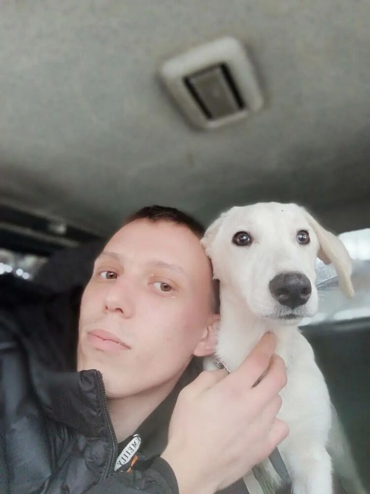 ���������� �������, ���� ������� �����, 34 ����, ������������ ��� ������, ����� � ���������, c�������� ���������