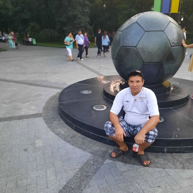  24094962  , 46 ,    