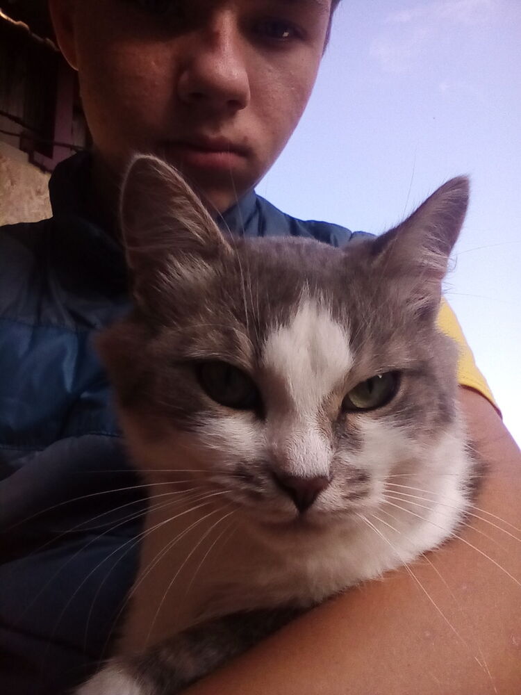 ���������� ��������, ���� ����� ������ ���, 25 ���, ������������ ��� ������, ����� � ���������, c�������� ���������