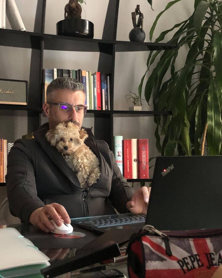 ���� 49733932 ������� ����, 45 ���, ���� ���������� � ����������