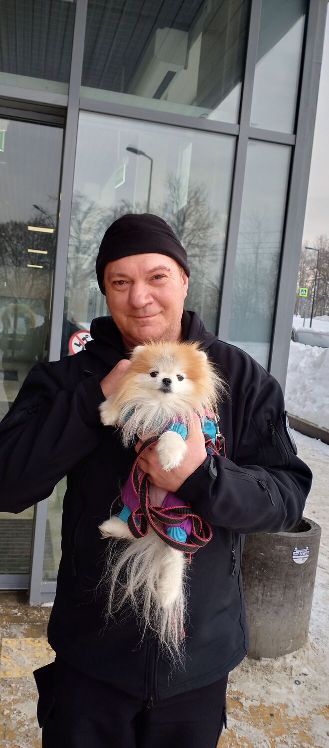 ���������� �������, ���� ������� ������, 47 ���, ������������ ��� ������, ����� � ���������, c�������� ���������