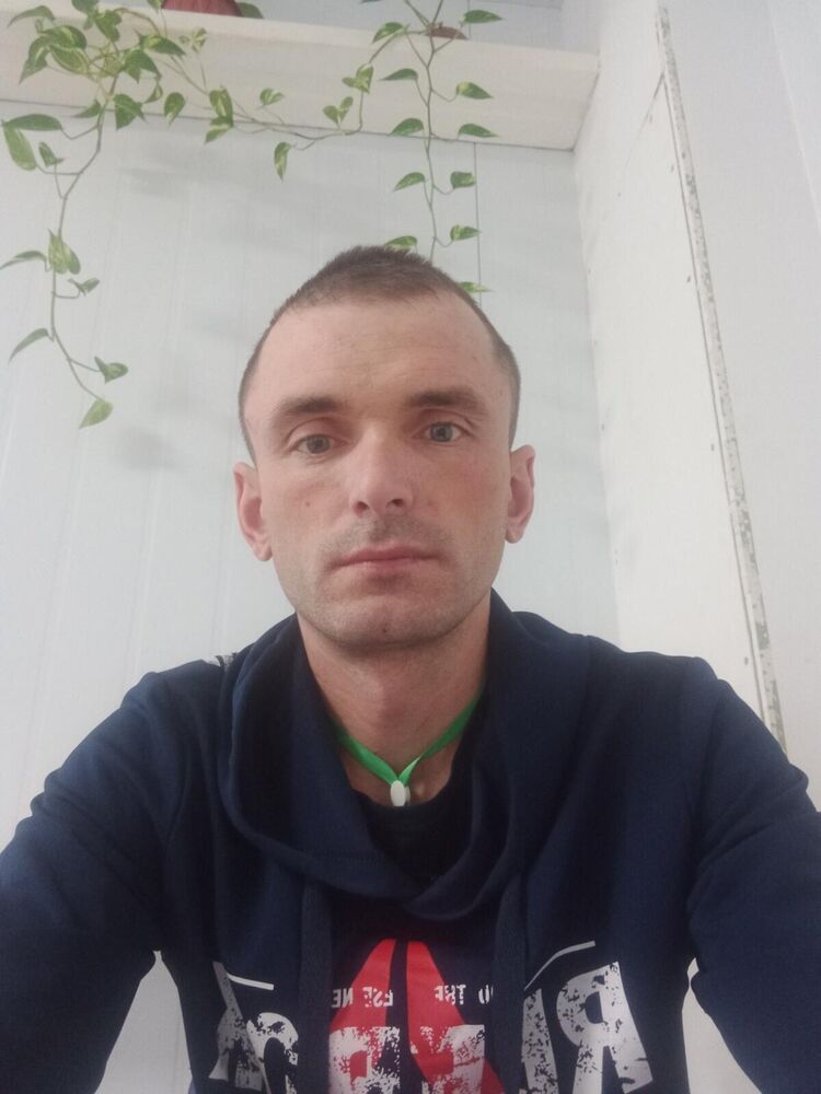  52683302  , 38 ,    