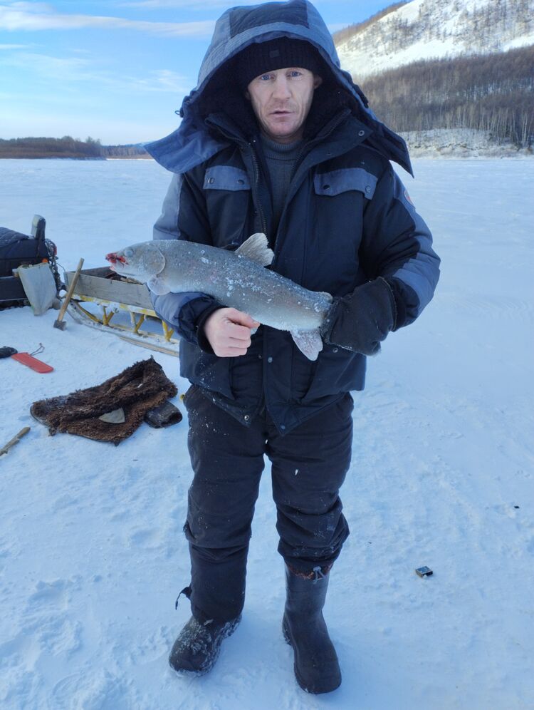 ���������� ���������, ���� ������� ������, 39 ���, ������������ ��� c�������� ���������