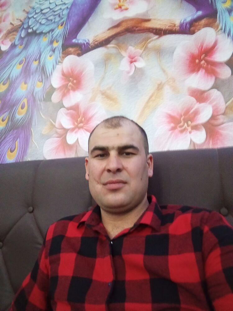  50300642  , 33 ,    