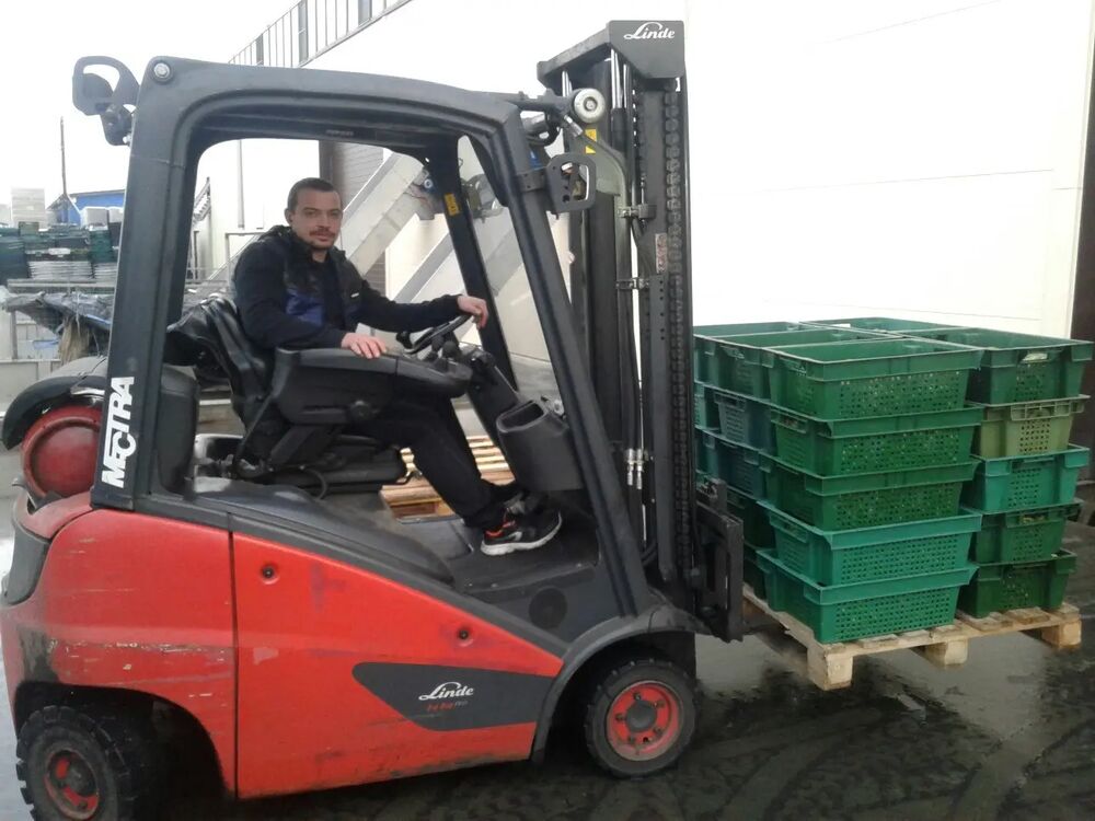 ���������� ���������, ���� ������� ����������, 41 ���, ������������ ��� ������, ����� � ���������, c�������� ���������