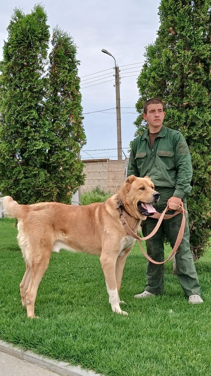 ���� 54044642 ����� ������, 19 ���, ���� ���������� � �����������