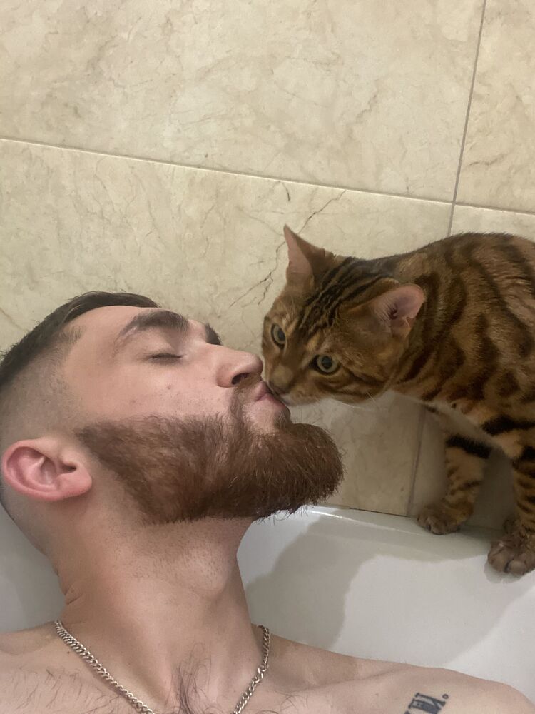 ���� 26706642 ������� �����, 31 ���, ���� ���������� � ������������