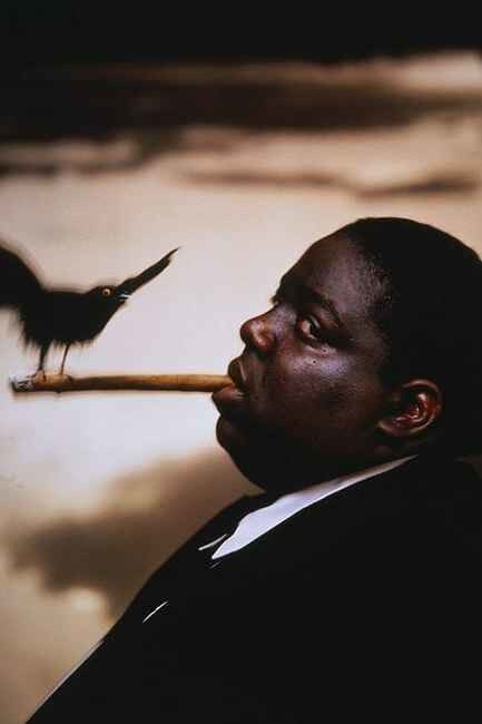 ���� 18910162 ����� Toma, 25 ���, ���� ���������� � ������