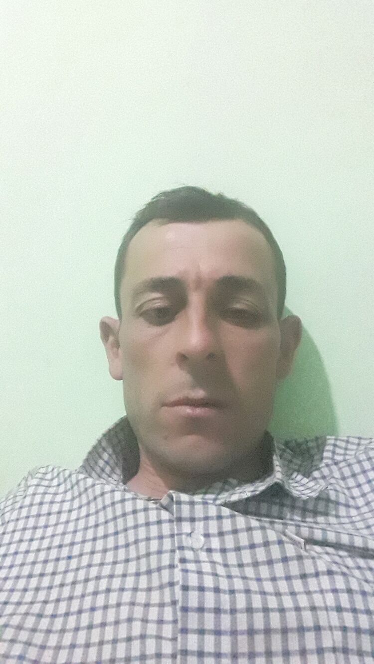  37503462   , 33 ,    