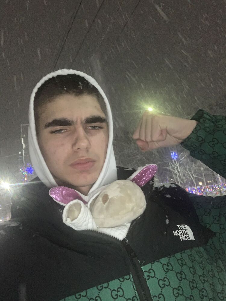  31349112  , 22 ,    -