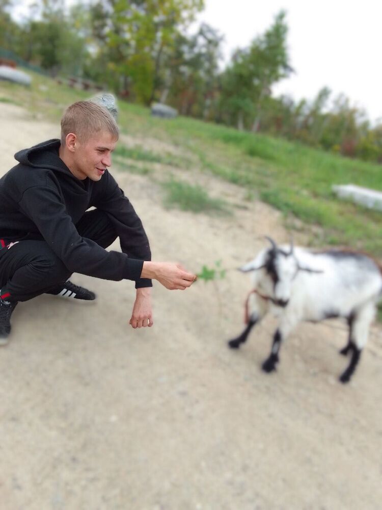 ���� 26034112 ������� �������, 32 ����, ���� ���������� � ������