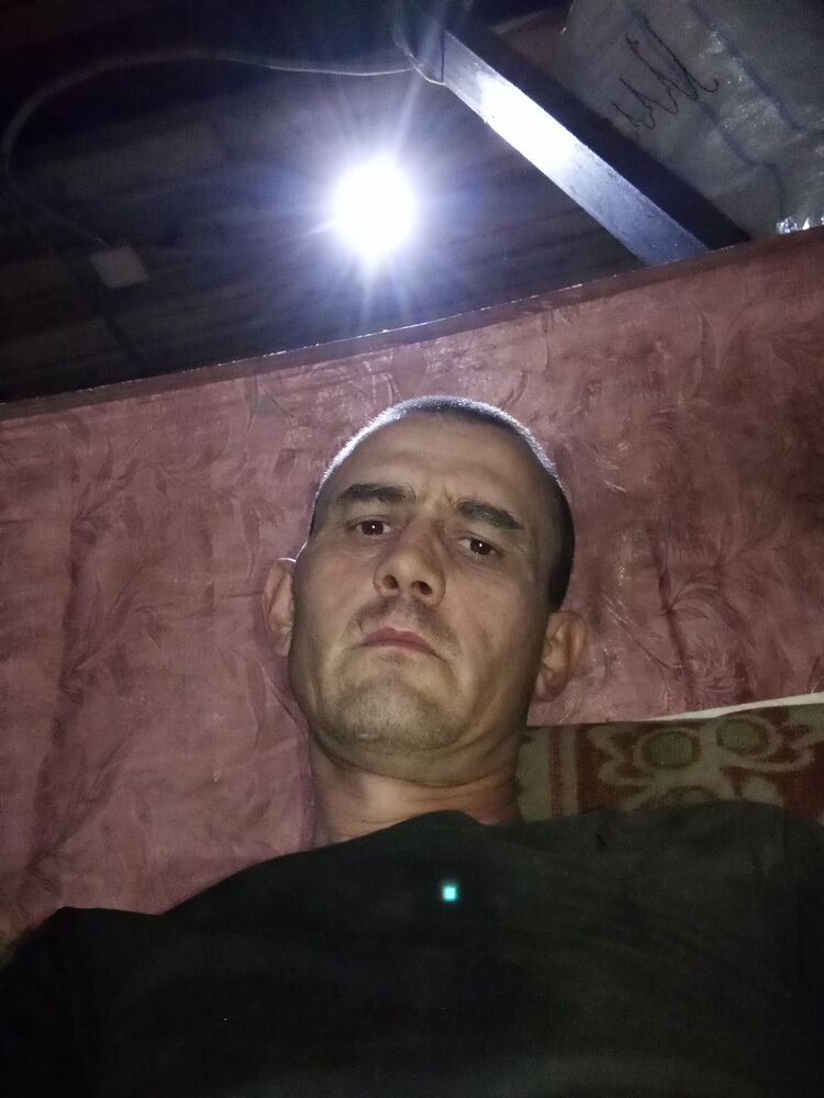  45952362  , 31 ,    