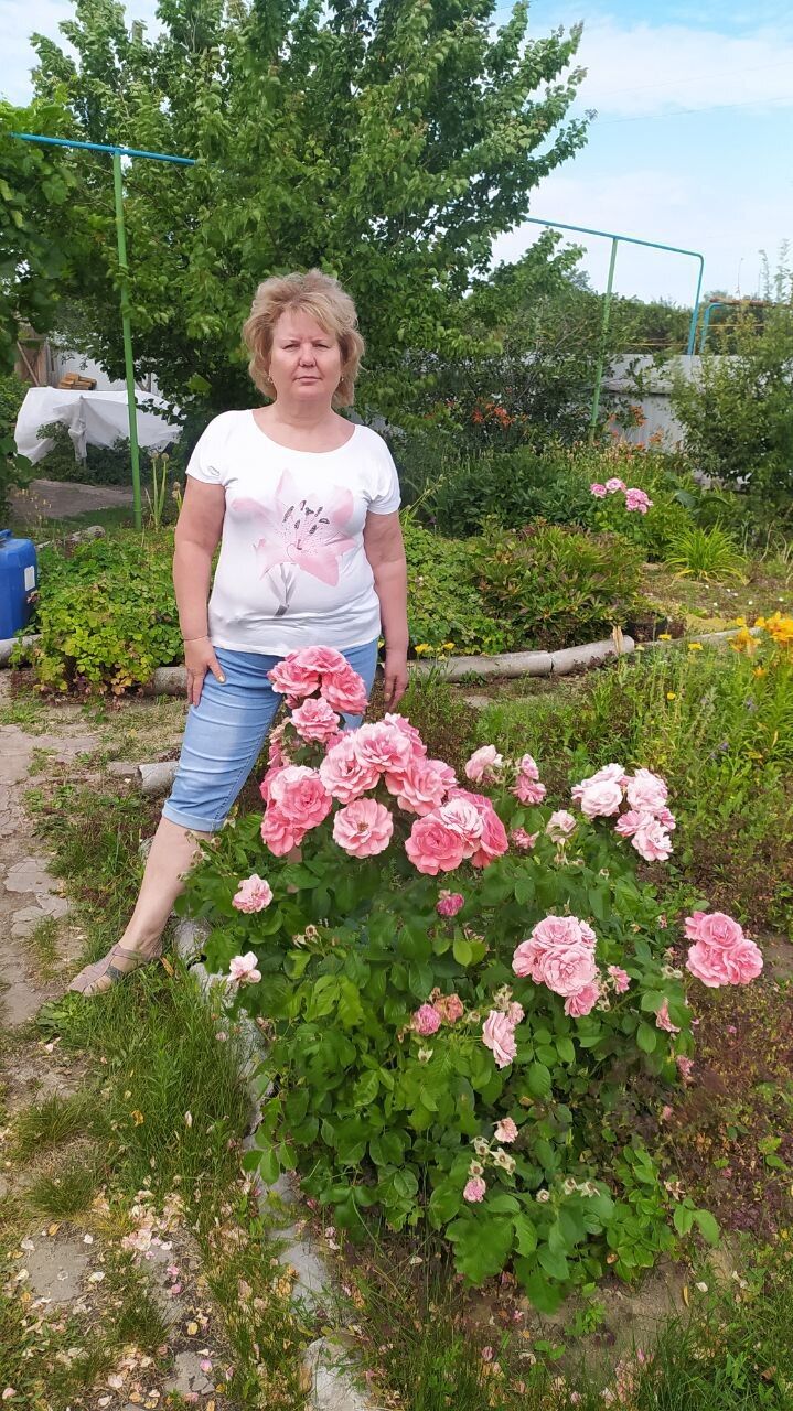  52856682  , 58 ,    -