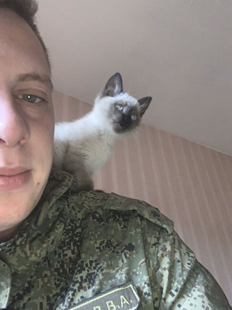  ,   , 29 ,   c 
