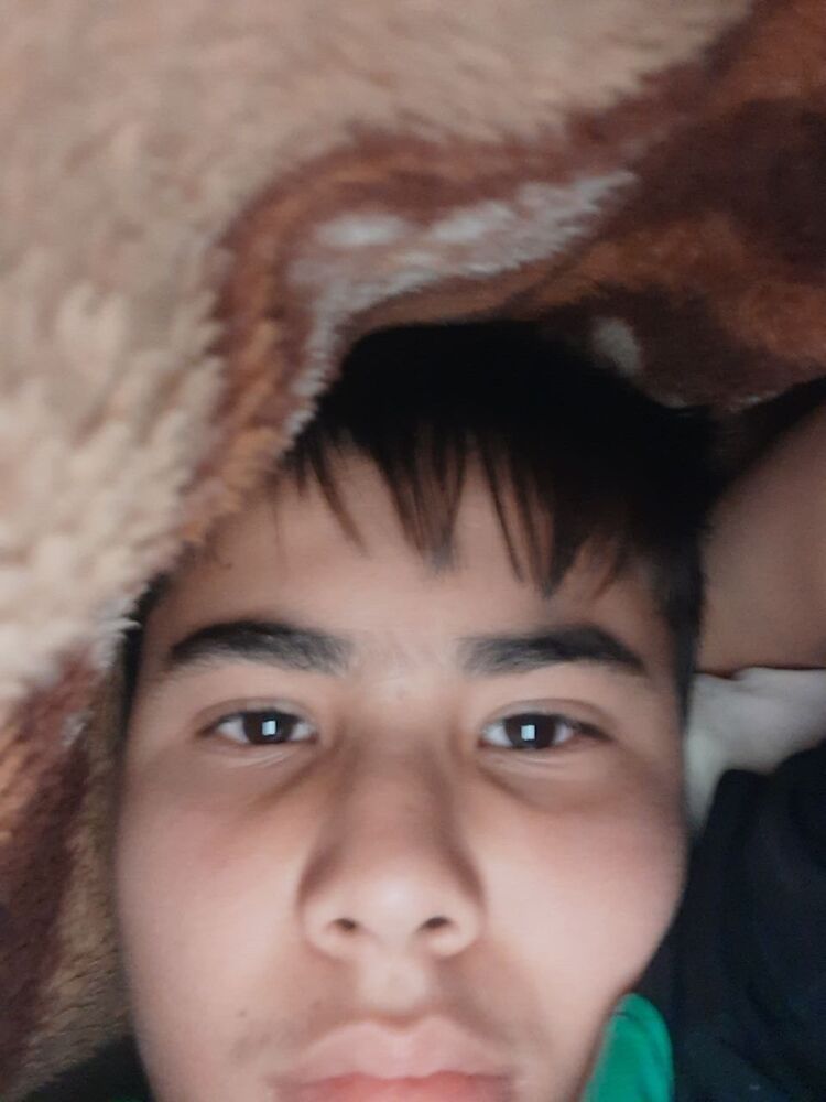  38101442  , 27 ,    