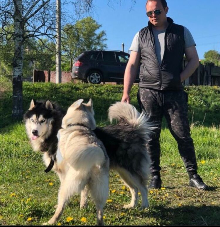 ���������� �������, ���� ������� ��������, 38 ���, ������������ ��� ������, ����� � ���������, c�������� ���������, ���������