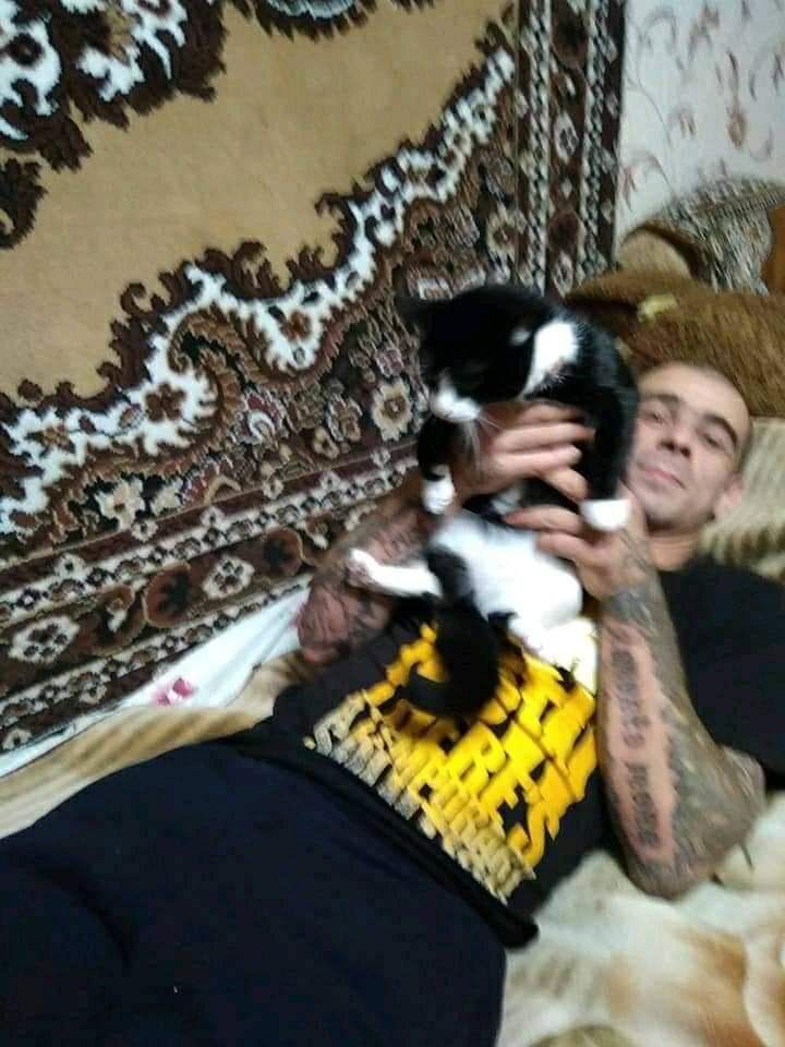 ���������� ����, ���� ������� ������, 35 ���, ������������ ��� ������, ����� � ���������