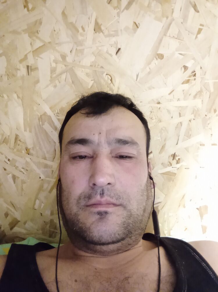  31877622  , 31 ,    