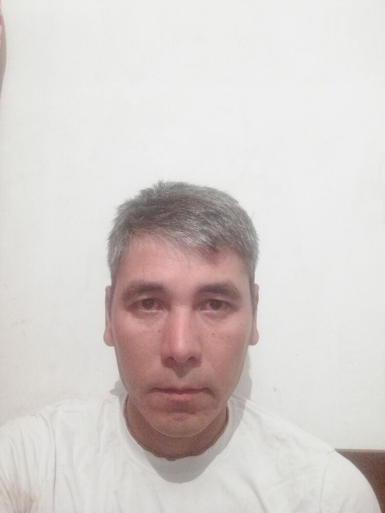  20621012  , 43 ,    