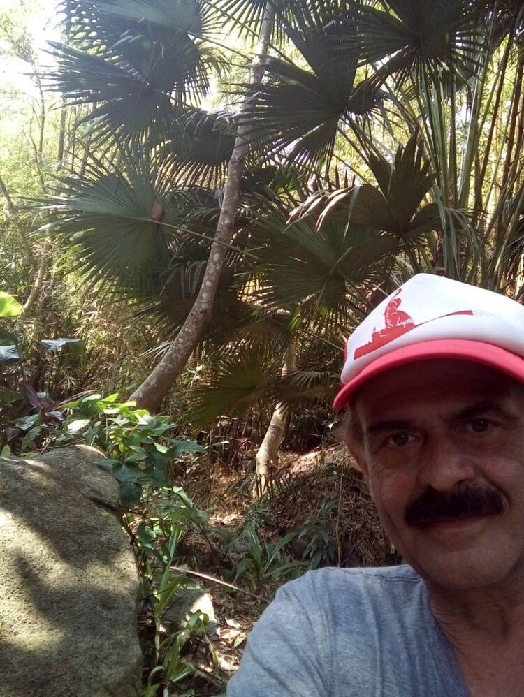  ,   StoneLion, 60 ,   ,   , c 