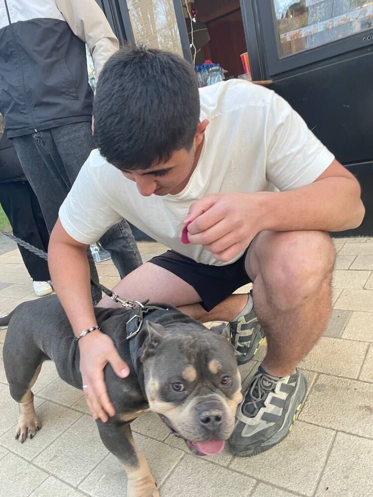 ���������� ������, ���� ����� ������, 19 ���, ������������ ��� ������, ����� � ���������