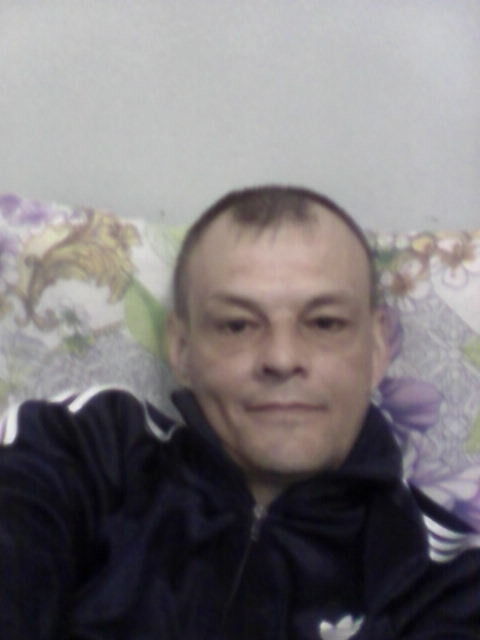  7994202  , 48 ,    