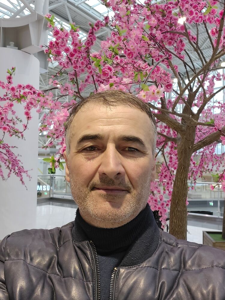 ���� 33586182 ������� �������, 52 ����, ���� ���������� � ������