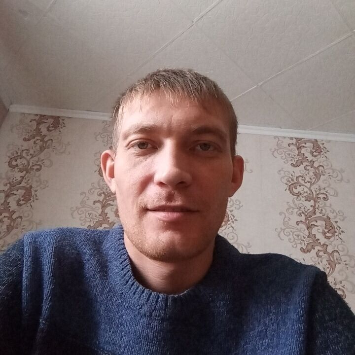  40651952  Parazit, 37 ,    