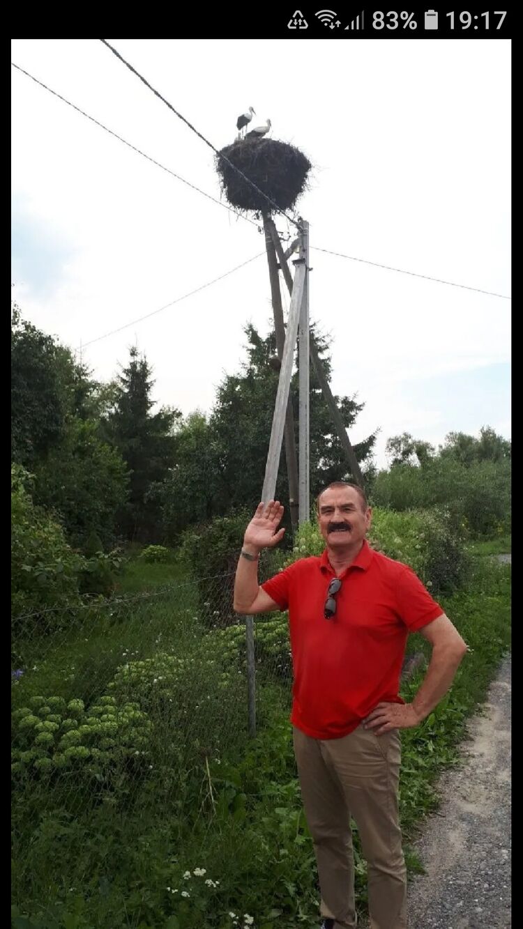  26969782  , 59 ,    