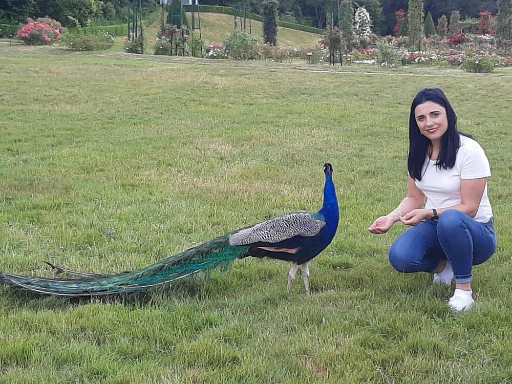  Letnany,   , 45 ,   ,   