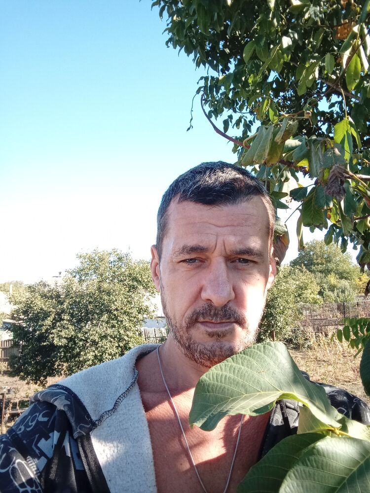  52764012  , 49 ,    