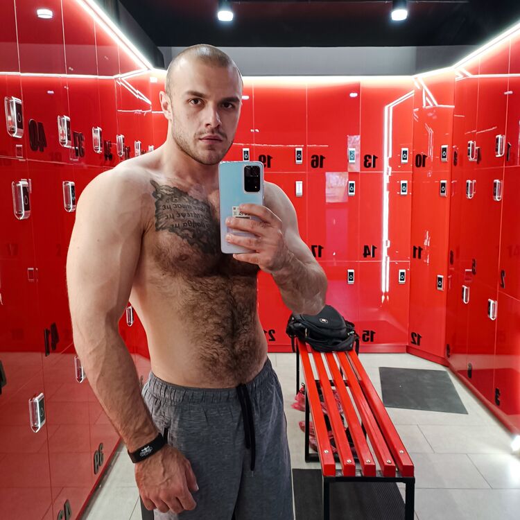 ���� 56033502 ������� ���������, 33 ����, ���� ���������� � ���������