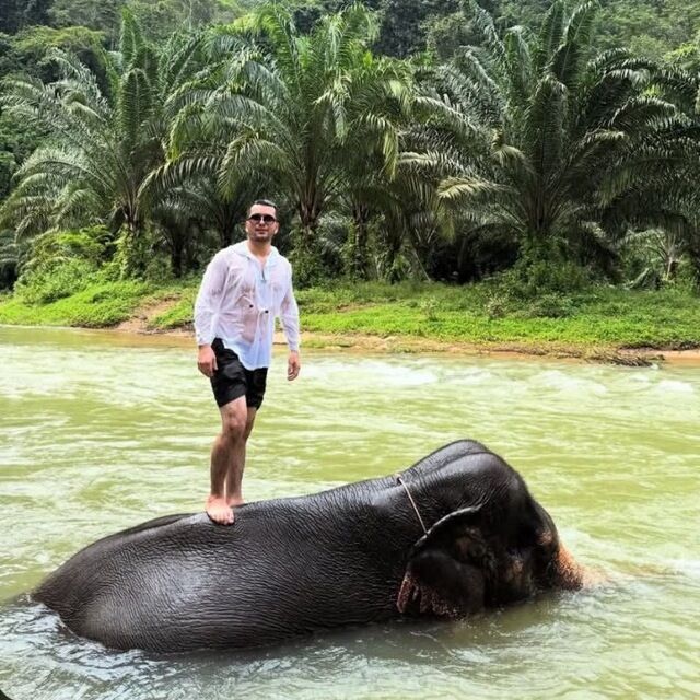 ���� 54768222 ������� Ali, 31 ���, ���� ���������� � ������