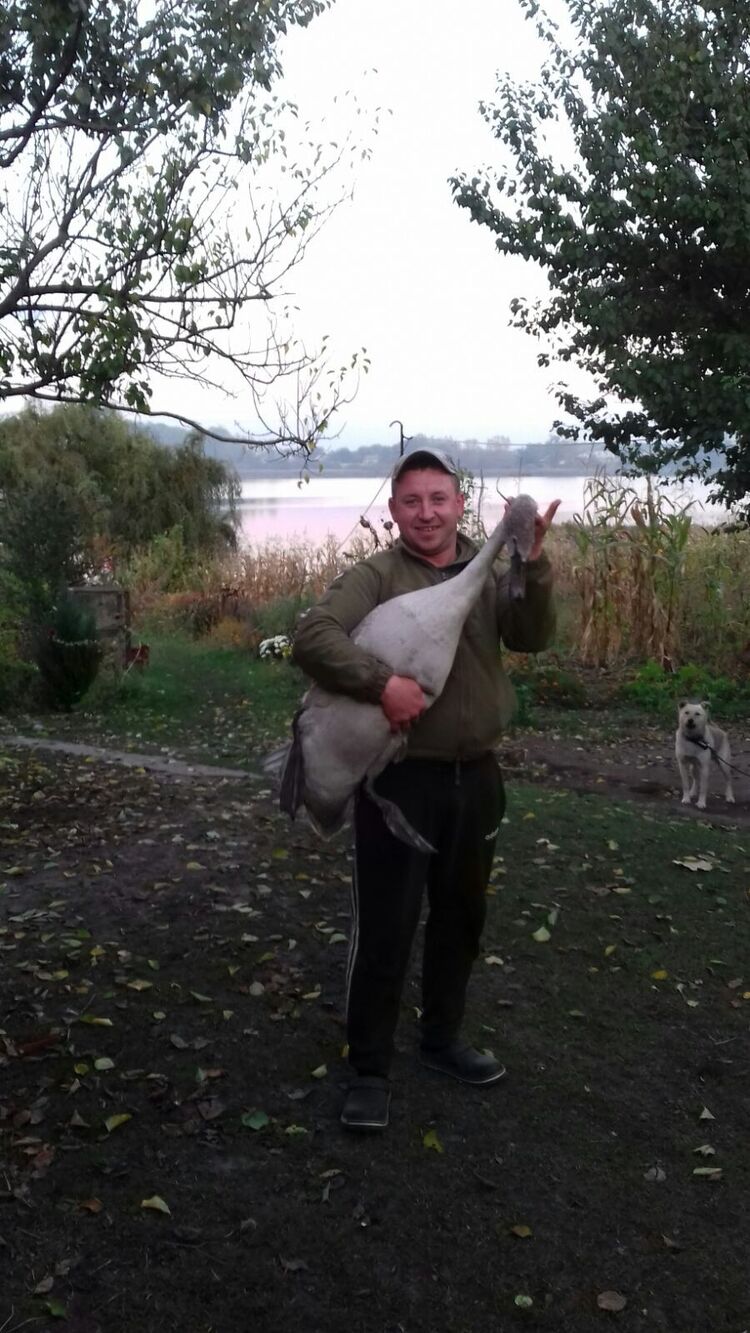 ���� 55782732 ������� ����, 35 ���, ���� ���������� � �����