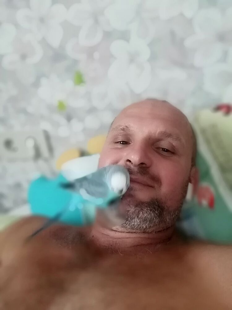 ���� 23644842 ������� ������, 48 ���, ���� ���������� � �����-����������