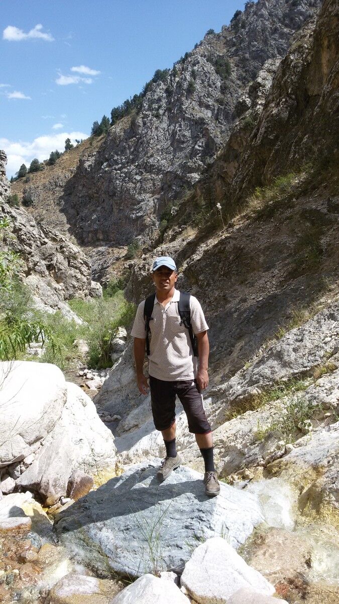 ���������� �������, ���� ������� Rovshik, 50 ���, ������������ ��� ������, ����� � ���������, c�������� ���������