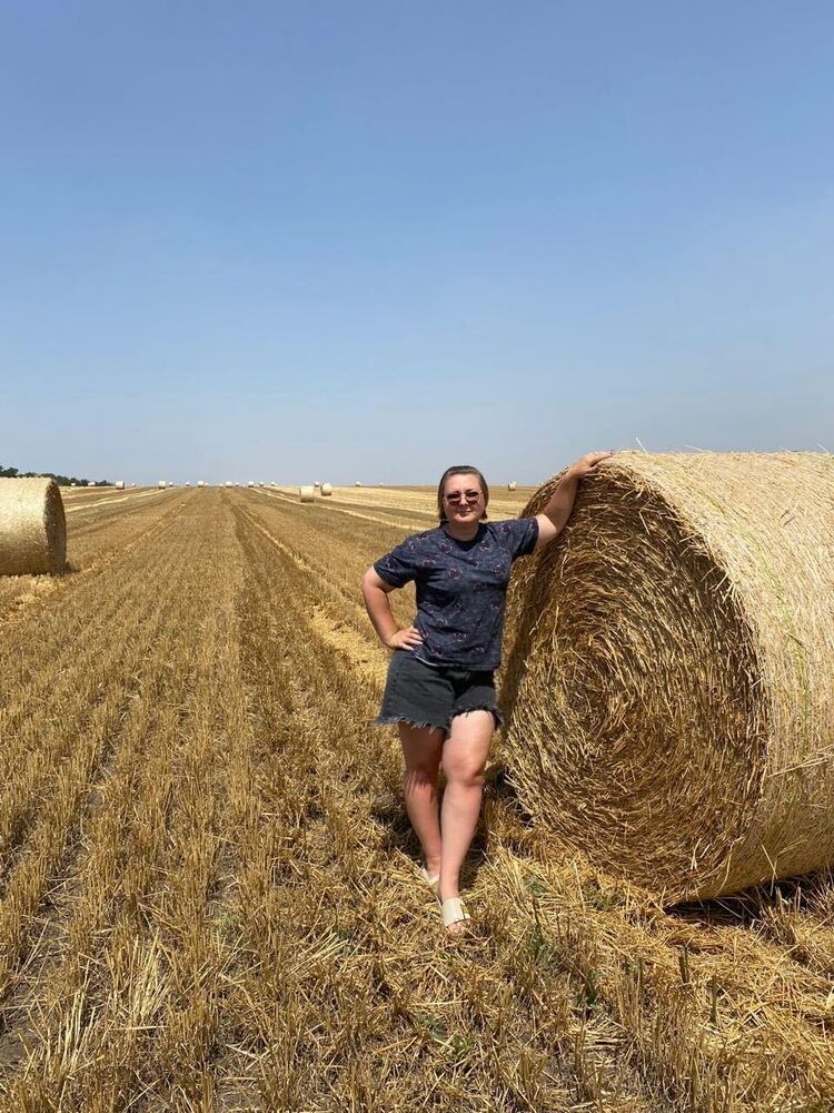  53345822  , 35 ,    --