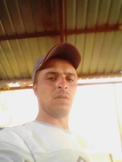  42204572  , 32 ,    