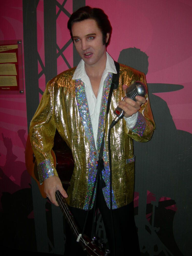 ���� 33115612 ������� ����, 45 ���, ���� ���������� � ����������