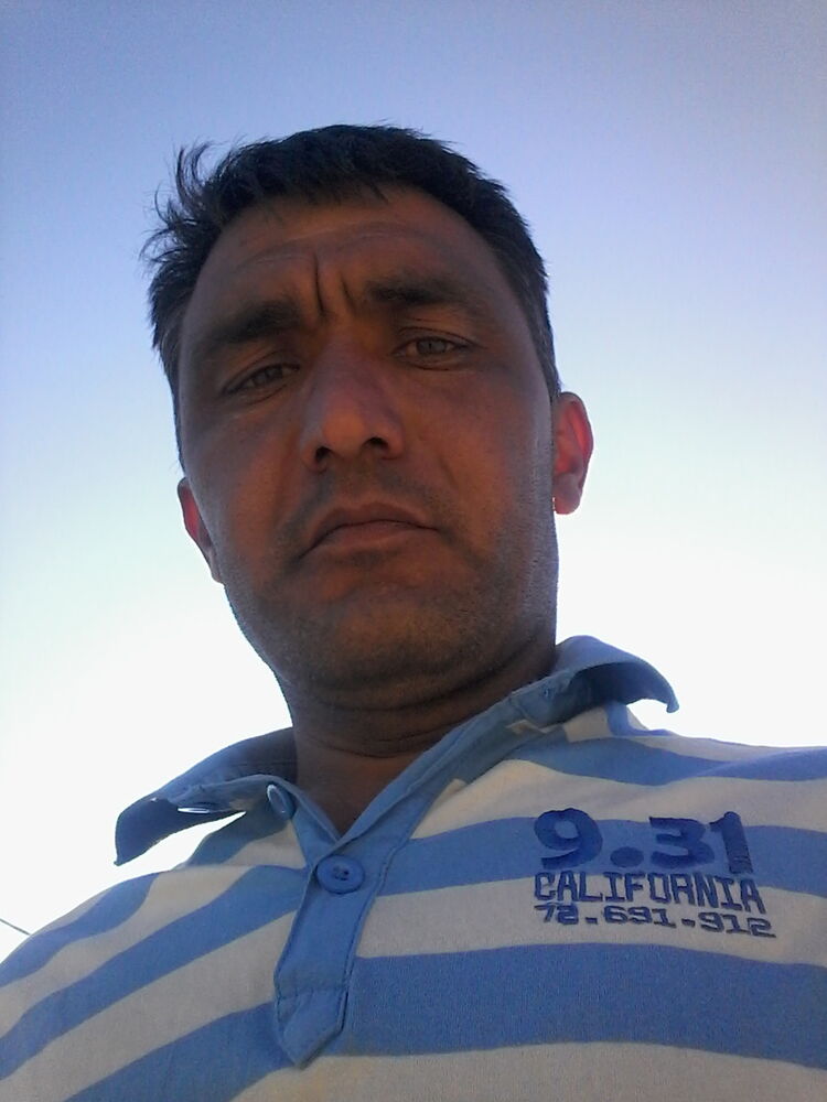 ���������� ����, ���� ������� ����, 43 ����, ������������ 