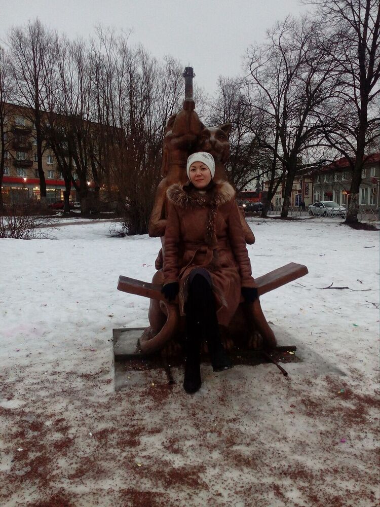  54147542  , 46 ,    -