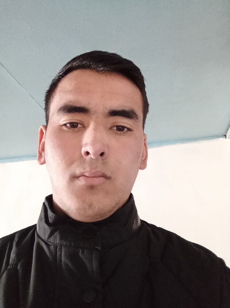  33423622  , 25 ,    