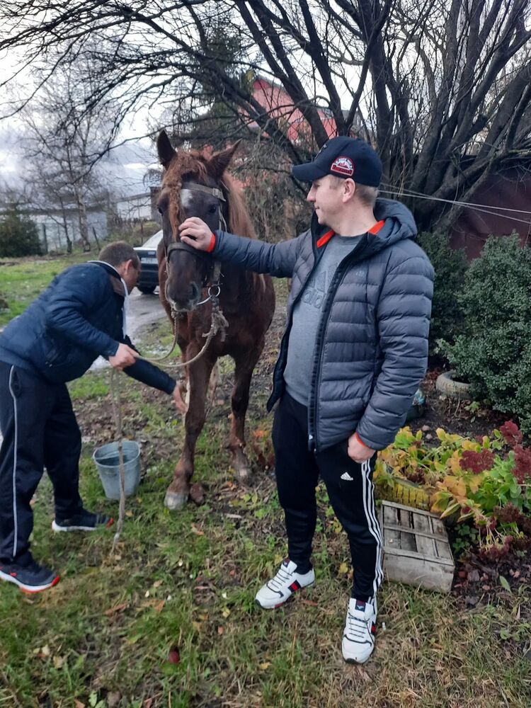 ���� 30851772 ������� �������, 42 ����, ���� ���������� � ������������