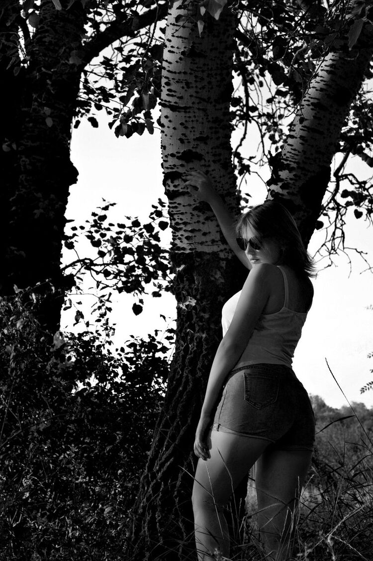 ���������� ������, ���� ������� ����������, 26 ���, ������������ ��� ������, ����� � ���������, c�������� ���������, ���������