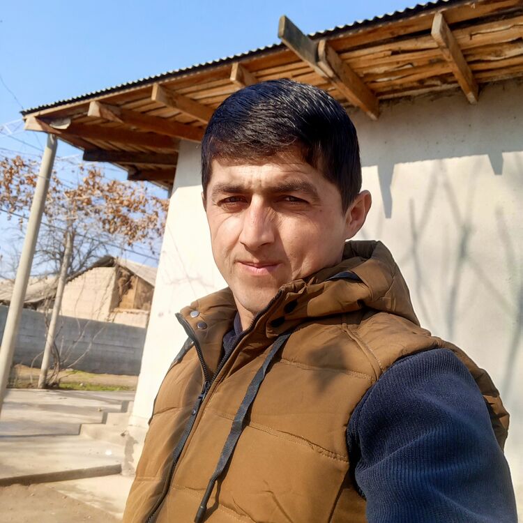  51367252  , 28 ,    Algolsheim