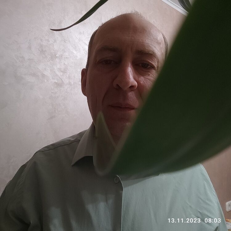 ���� 41752462 ������� ����, 47 ���, ���� ���������� � ������