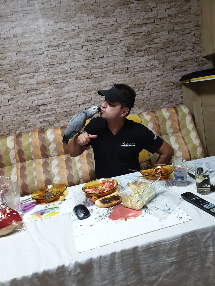 ���������� �����, ���� ������� ����, 45 ���, ������������ ��� ������, ����� � ���������, c�������� ���������