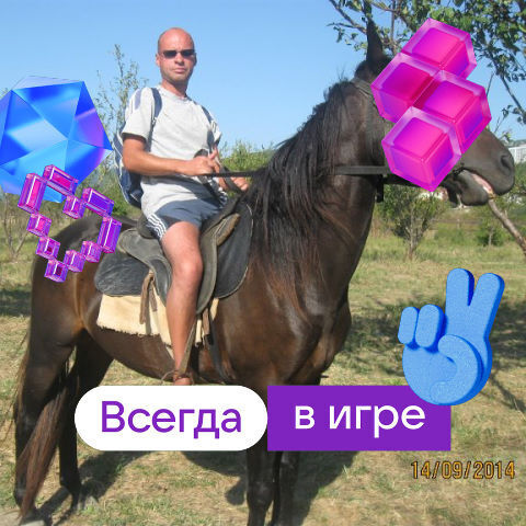 ���� 56147852 ������� ����, 50 ���, ���� ���������� � ��������