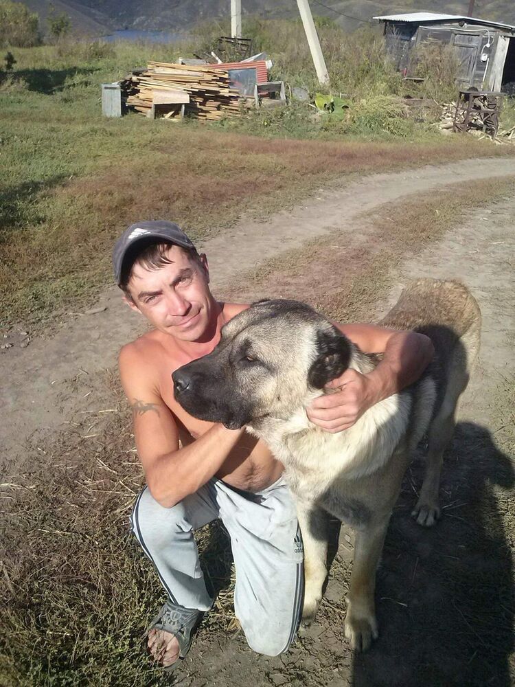  12089532  , 38 ,    -